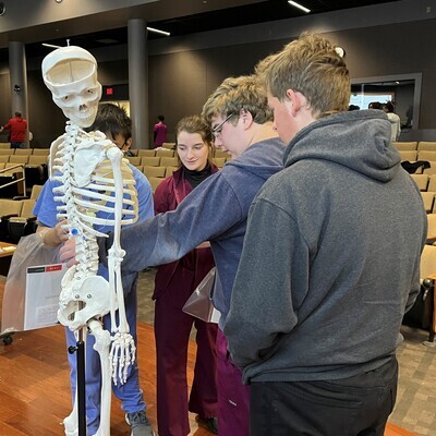 Students interacting with a human skeleton model