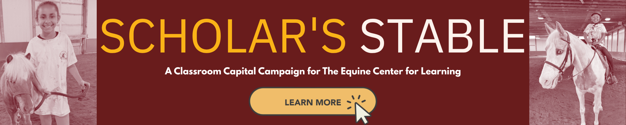 Scholar's Stable Information