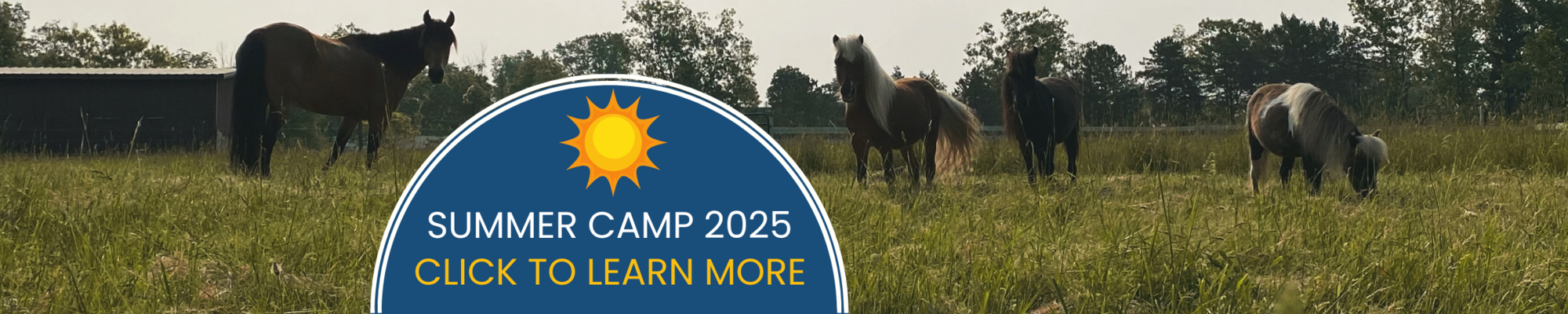 2025 Summer Camp Banner
