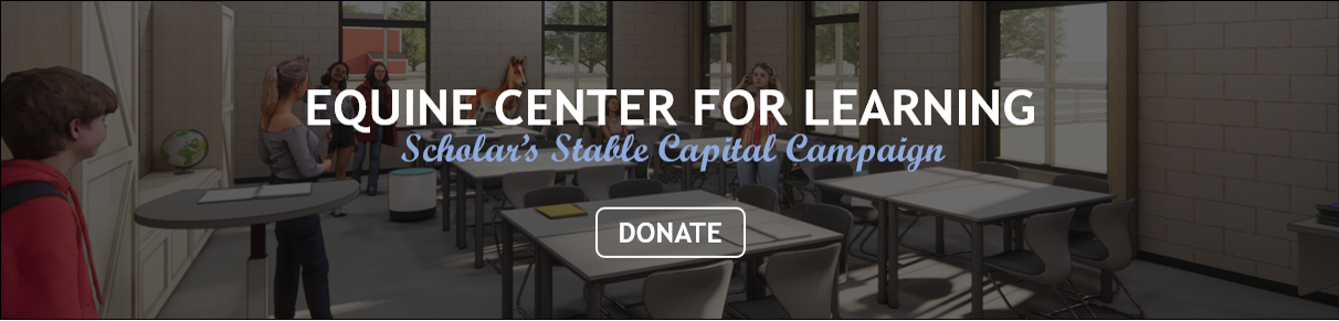 Scholar's Stable Classroom v.1 - DONATE