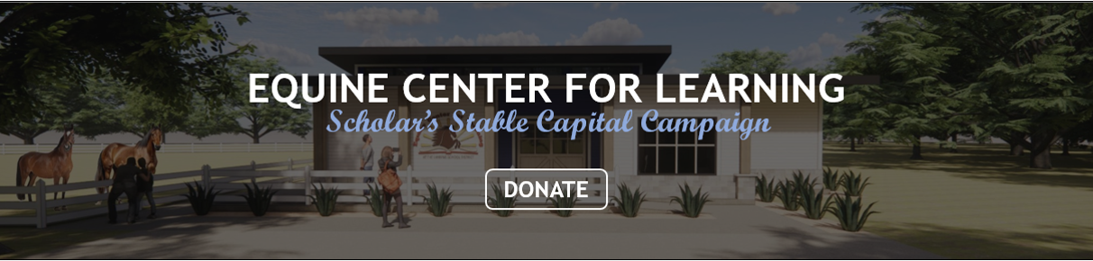 Scholar's Stable Front v.1 - DONATE