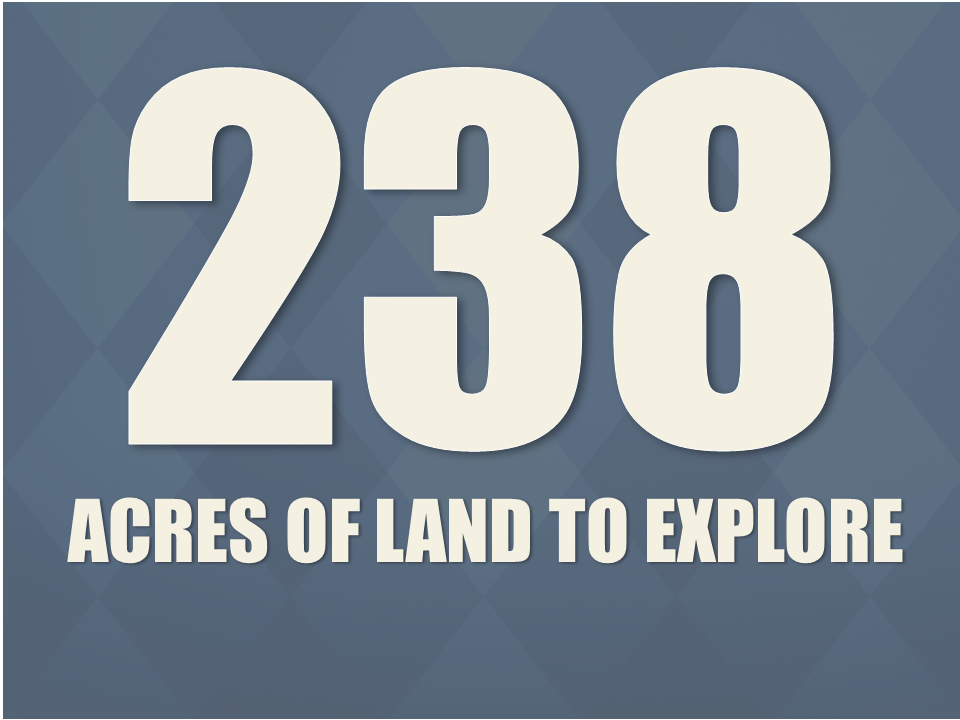 238 Acres of Land to Explore
