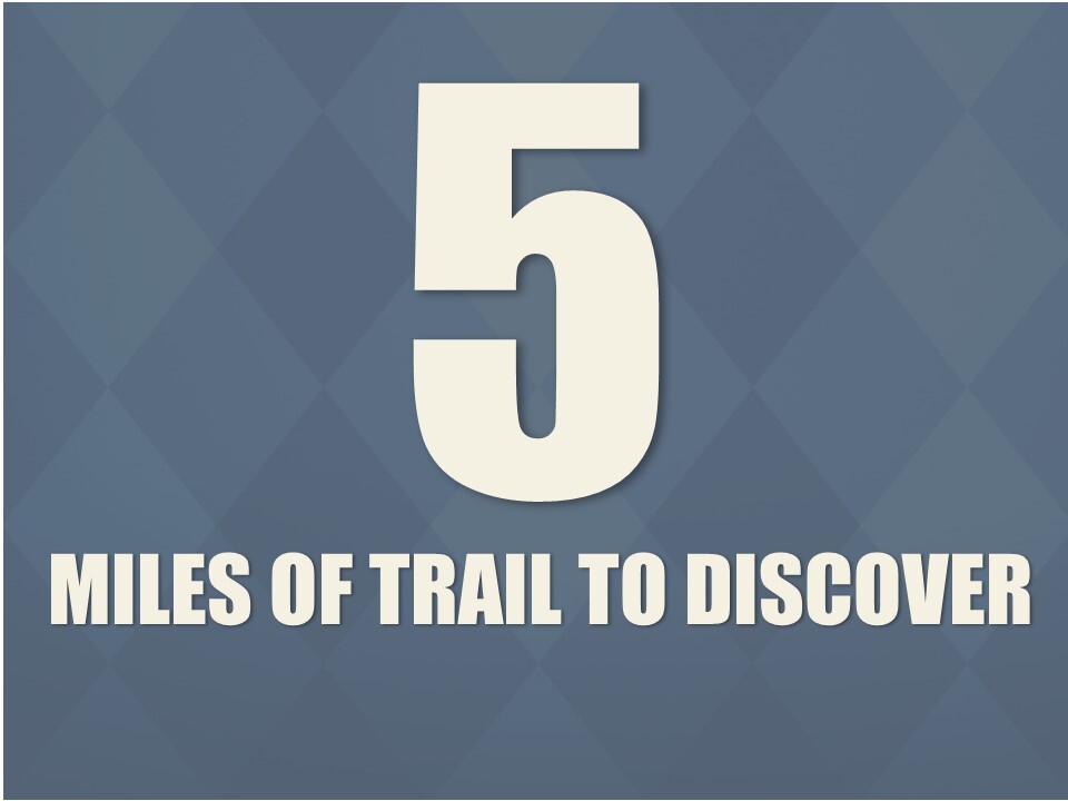 5  Miles of Trails to Discover