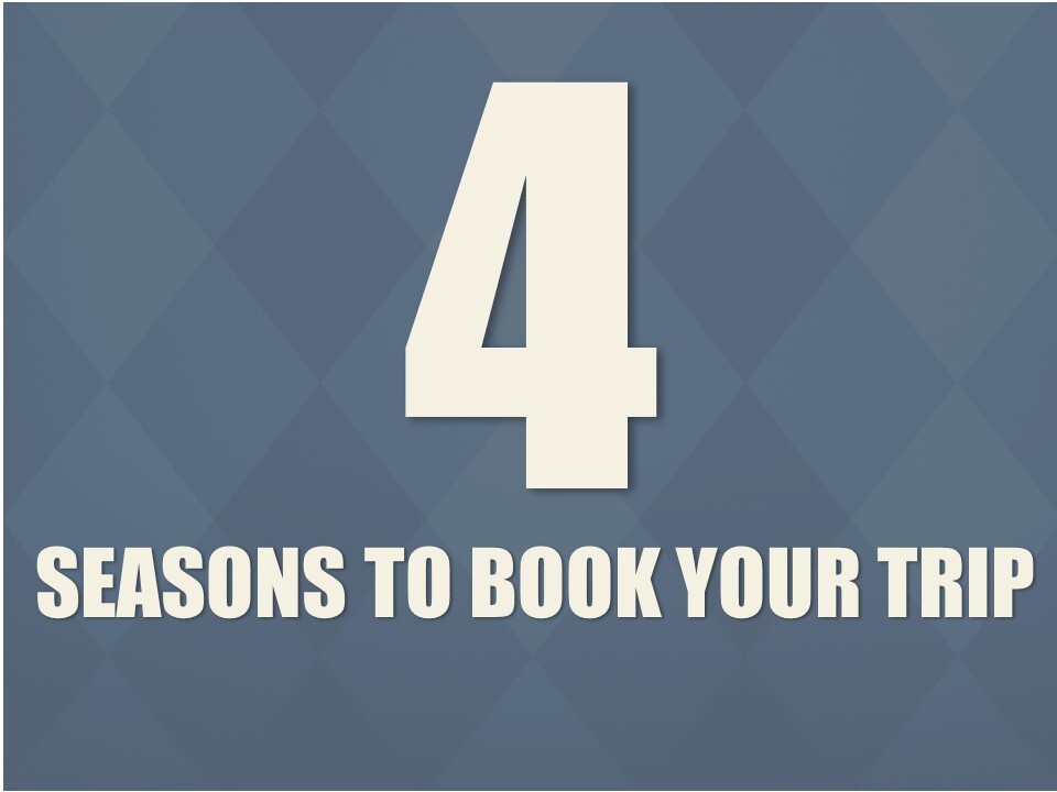 4 Seasons to Book Your Trip