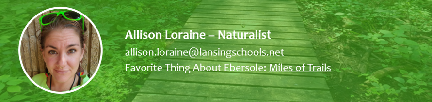 Allison Loraine - Naturalist.  allison.loraine@lansingschools.net.  Favorite thing about Ebersole Trails. 