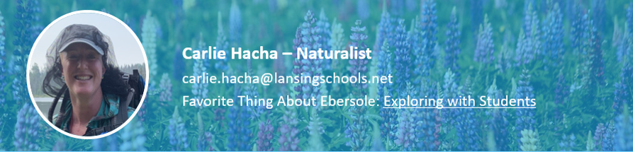 Carlie Hacha - Naturalist.  carlie.hacha@lansingschools.net.  Favorite thing about Ebersole Students.