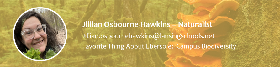 Jillian Osbourne Hawkins - Naturalist.  jillian.osbournehawkins@lansingschools.net.  Favorite thing about Ebersole is Campus.  