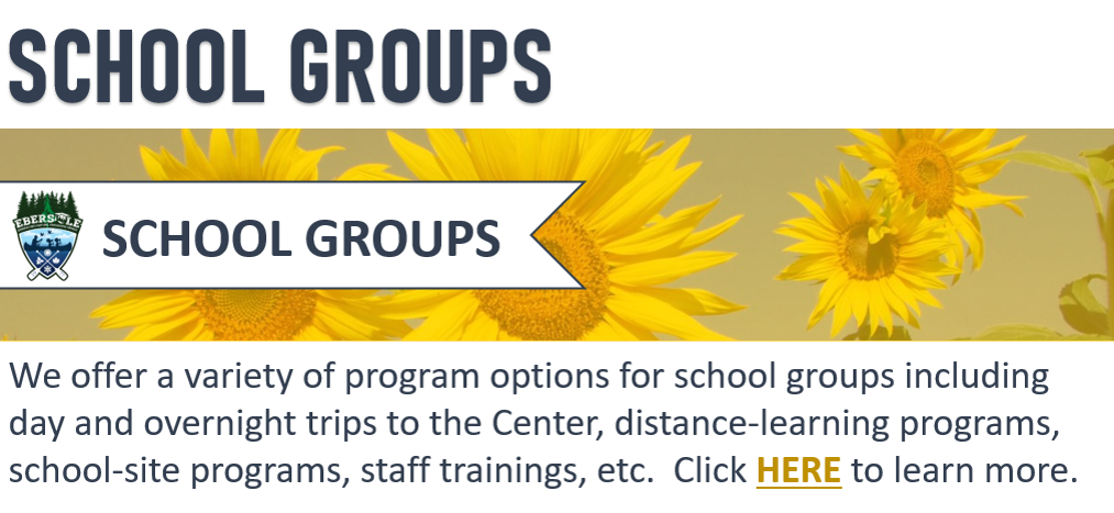School Groups - Learn More