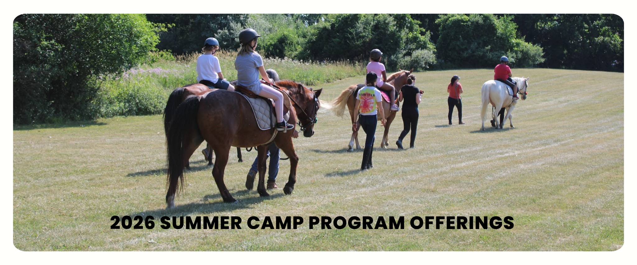 Horses being ridden in a field