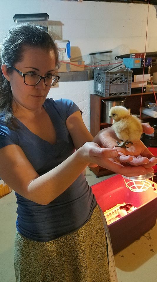 picture of Mrs. Meyer with baby chicken